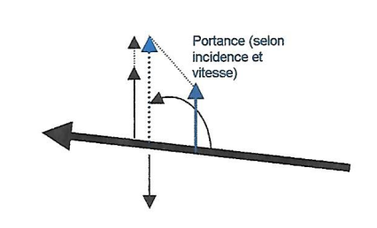 profil-considerations