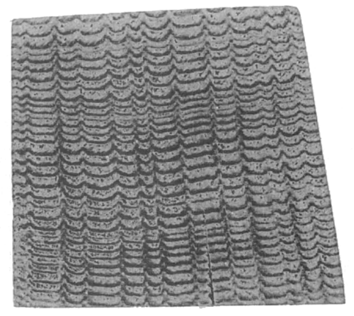 crossSection.resized