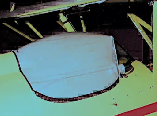5moldcanopy.resized