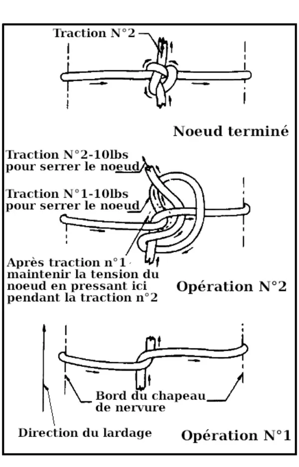 2-4fig