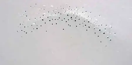11conscomp10