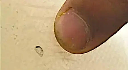 2conscomp9