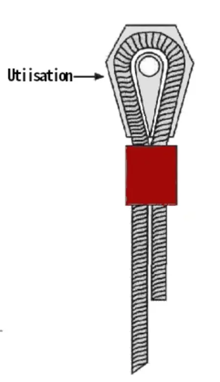 3coral